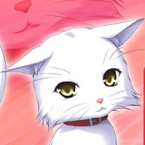 sirakawakuu@mstdn.jp