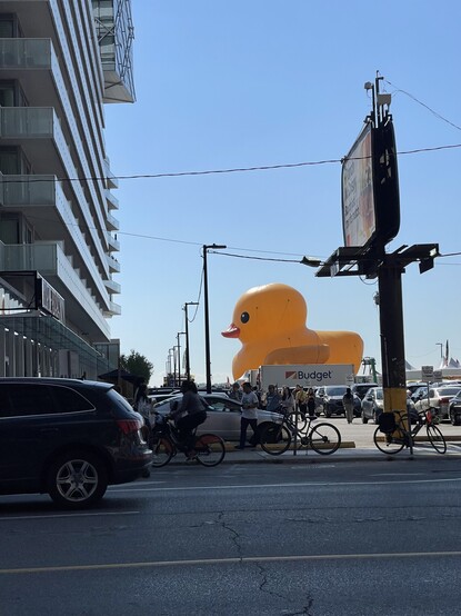 A gigantic rubber duck that’s the size of a six-story building is sitting beside Lake Ontario and in the waterfront district of Toronto. The duck is yellow and has an orange beak. This photo was taken across the street so you could see it in all of it’s duck-y glory.