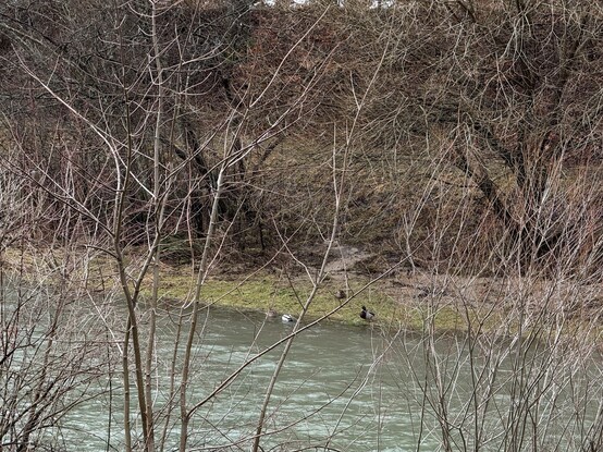 These guys are planning something, if you ask me…