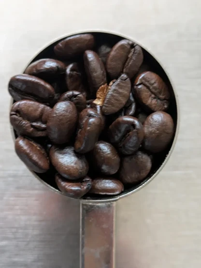 深煎りのコーヒー豆が計量スプーンに入っている