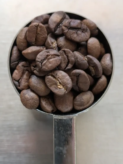 計量スプーンに入ったコーヒー豆