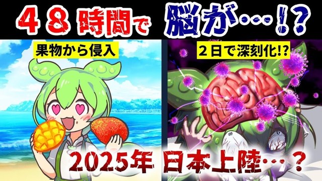 【WHO警告】治療薬ナシ!?「脳破壊ウイルス」 海外から日本へ侵入か…最悪90％重篤化？ずんだもん解説