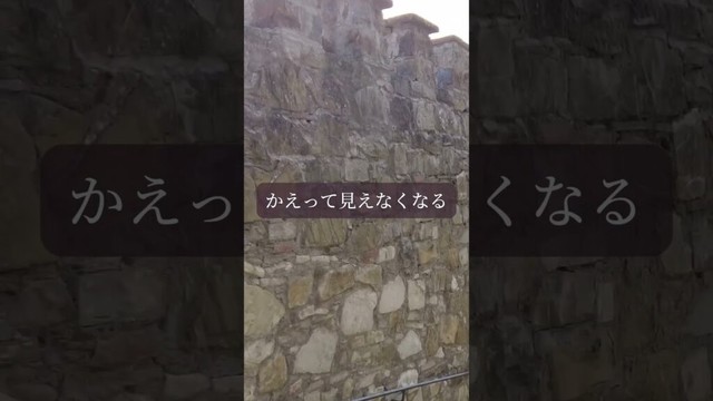 【星読み】手放すことで　見えるもの　　　　　　7月27日（日）今日の星読み #毎日投稿 #沖縄旅行 #相手の本音