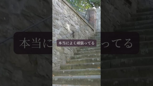 【星読み】言葉の魔法で　未来を変える　　 8月4日（月）今日の星読み #毎日投稿 #ghibli #相手の本音 #青蘭ひとみ #スピリチュアル