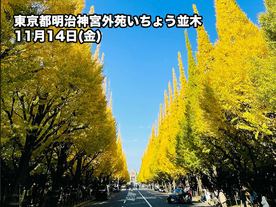 ウェザーニュース