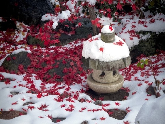 ウェザーニュース