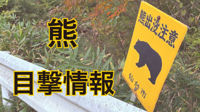 宮城の熊目撃情報（15日午後10半現在） - 河北新報オンライン